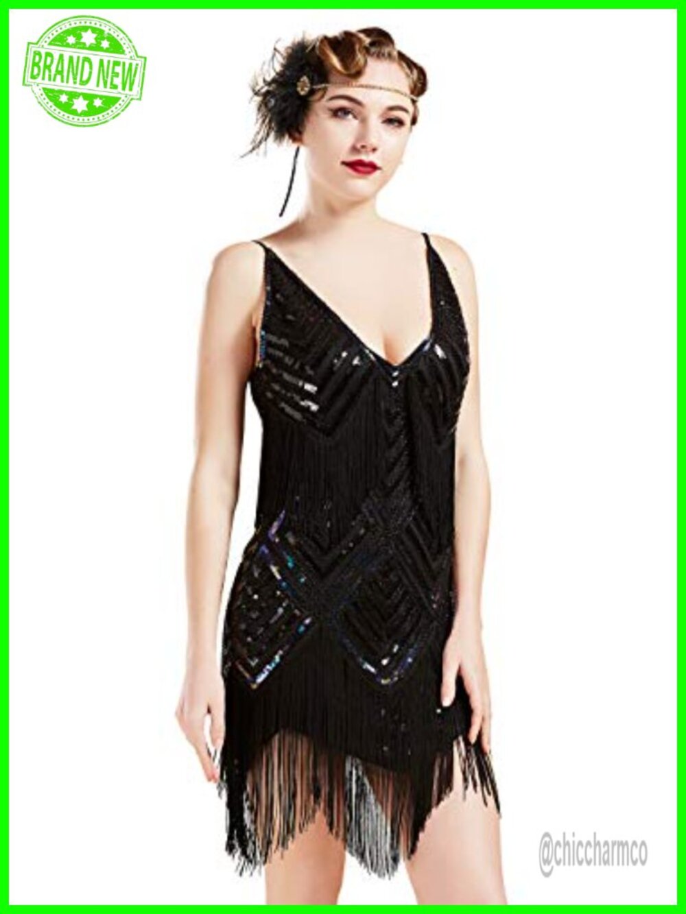1920s Flapper Dress V Neck Sequin Fringe Gatsby Party